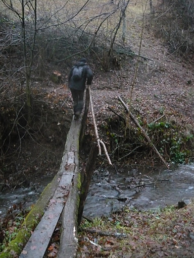 20111217 Zarándban barargolva 3300